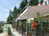 Pergola Awnings