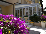 Pergola-44 Awnings